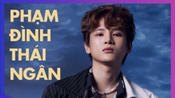 Phạm Đình Thái Ngân và MV 