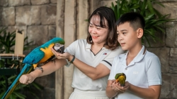 Show Vũ điệu chim trời lần đầu tiên có mặt ở Quảng Ninh