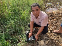 Quảng Nam: Bắt đối tượng chuyên cướp giật tài sản của phụ nữ