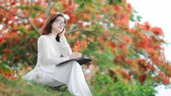 Màu hoa phượng - màu khát vọng của lứa đôi