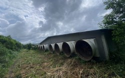 Kon Tum: Người dân vùng biên khốn khổ vì trại nuôi heo gây mùi hôi thối
