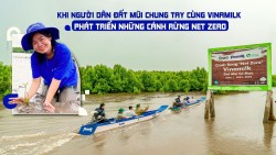Chung tay cùng phát triển những cánh rừng Net Zero