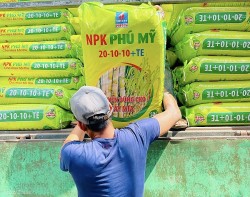 NPK Phú Mỹ 20-10-10 + TE: Hứa hẹn mang về thêm những vụ mía ngọt