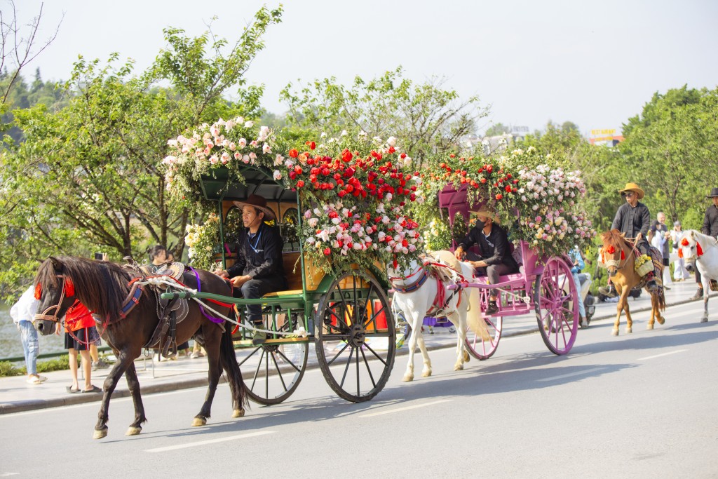 Sa Pa tấp nập khách đến du ngoạn Lễ hội Hoa hồng Fansipan ngay đầu kỳ nghỉ lễ 30/4