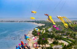 Để Hải Phòng trở thành “Thành phố đáng sống của Việt Nam”...
