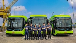 Vi vu Thành phố Đảo Hoàng Gia vừa tiện lợi vừa miễn phí