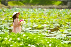 Bật mí điểm check-in với sen cực hot khi đến Sun World Ha Long
