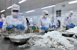 Cà Mau nâng cao chất lượng nguồn nhân lực phục vụ ngành nông nghiệp