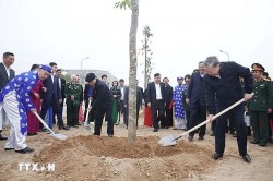 Tổng Bí thư Tô Lâm dự Lễ phát động Tết trồng cây Xuân Ất Tỵ tại Hưng Yên