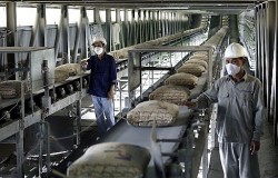 Nghiên cứu việc giảm thuế xuất khẩu đối với mặt hàng clanhke xi măng