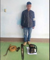 Quảng Nam: Khởi tố đối tượng cưa hạ gỗ trái phép trong rừng
