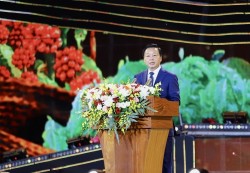 Tầm nhìn cho tương lai bền vững của ngành cà phê Việt Nam