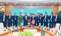 Đưa dịch vụ công trực tuyến đến gần người dân, doanh nghiệp