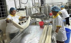"Bệ phóng" cho sản phẩm OCOP và khởi nghiệp sáng tạo