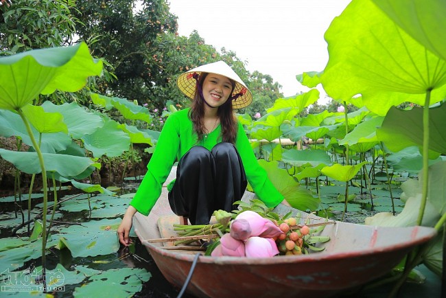 Hải Dương: Những nét mới tại hội nghị xúc tiến thương mại vải thiều