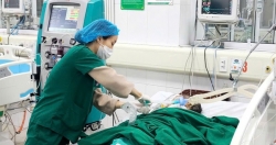 Hôn mê nguy kịch vì "nhậu" triền miên 10 ngày Tết