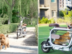 Xe điện Mopet không chỉ nhỏ gọn mà còn được tích hợp cả... chuồng dành cho thú cưng