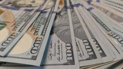 Tỷ giá USD hôm nay 22/6: 