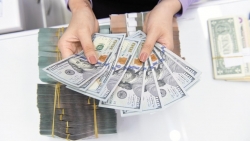 Tỷ giá USD hôm nay 26/6: Ổn định sau khi đạt mức tăng mạnh nhất
