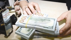 Tỷ giá USD hôm nay 29/6: Chững lại sự bứt phá