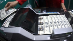 Tỷ giá USD hôm nay 7/7: Sụt giảm sau báo cáo việc làm mới nhất