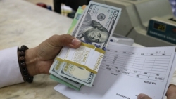 Tỷ giá USD hôm nay 13/7:  Chịu áp lực giảm