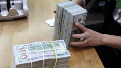 Tỷ giá USD hôm nay 22/7: Kéo dài đà tăng