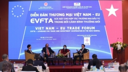 Thương mại Việt Nam - EU tăng trưởng mạnh mẽ nhờ EVFTA