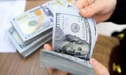 Tỷ giá USD hôm nay 9/11: Vực dậy hay tiếp đà suy yếu?