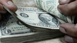 Tỷ giá USD hôm nay 23/11: Không thay đổi nhiều