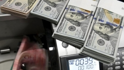 Tỷ giá USD hôm nay 3/12: Áp lực trước những hứa hẹn về vắc-xin