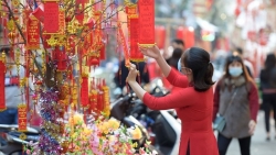 Phân luồng giao thông tổ chức chợ hoa xuân Tết Nhâm Dần 2022