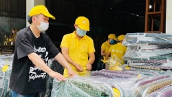 Tin tức giải trí mới nhất ngày 20/7: Tùng Dương quyên 3 tỷ đồng tặng TP HCM chống dịch