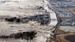 Thảm họa Fukushima không gây ảnh hưởng lớn đến sức khỏe người dân