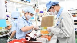 Hà Nội: Gần 1,1 triệu lao động được nhận hỗ trợ từ Quỹ Bảo hiểm thất nghiệp