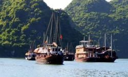 Đột ngột tăng phí du lịch, các doanh nghiệp lữ hành tại Cát Bà kêu cứu