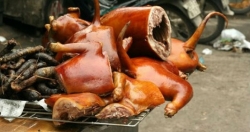 Một “mũi tên” trúng nhiều “đích”
