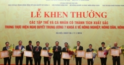 Agribank đón nhận bằng khen của Thủ tướng chính phủ vì thành tích tam nông