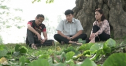 "Cô gái nhà người ta"- bộ phim về tuổi trẻ đẹp đẽ và hài hước