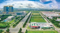 Bình Dương xuất siêu 2 tháng đầu năm 2022 đạt 2 tỷ đô la Mỹ