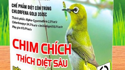 Phát hiện hàng loạt cửa hàng bán thuốc bảo vệ thực vật ngoài danh mục